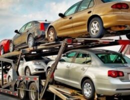 “Müsibəti-Gömrük”: “Rastamoşka” haqq-hesabında cinayət