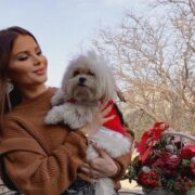 Aynişanın itinə möhtac qalan media