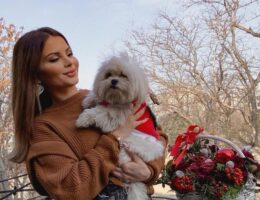 Aynişanın itinə möhtac qalan media