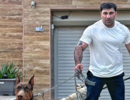 Kamil itlərini tanıtdırdı: “Hürə bilmir, arada ulayır“